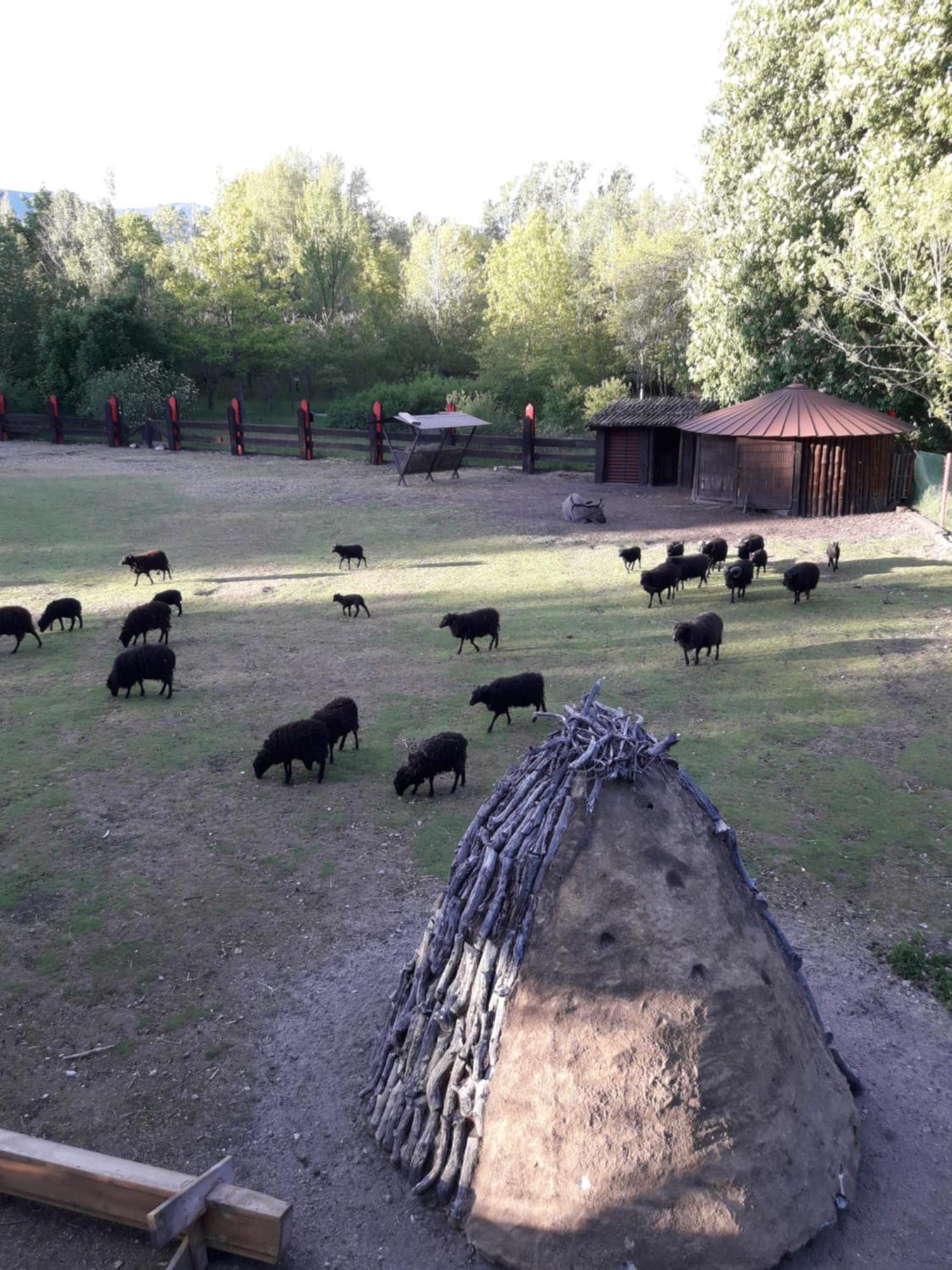 Pensjonat Zaguan Rascafría Zewnętrze zdjęcie